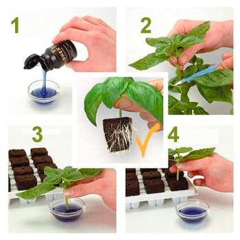 Clonex Rooting Gel 50ml